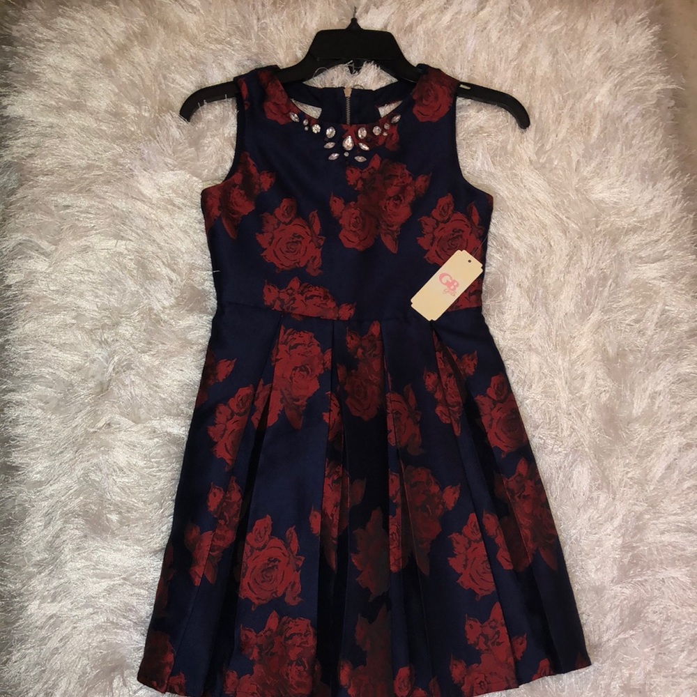 Red and navy blue dress